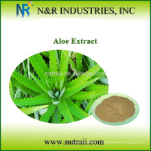Poudre pure à base de plantes Aloe Vera Powder